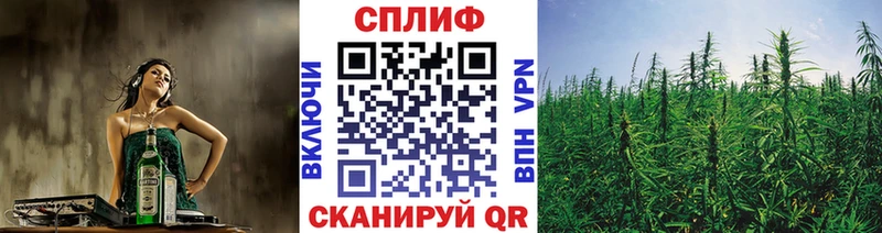 Купить где  Нижний Ломов  Бошки марихуана AK-47 